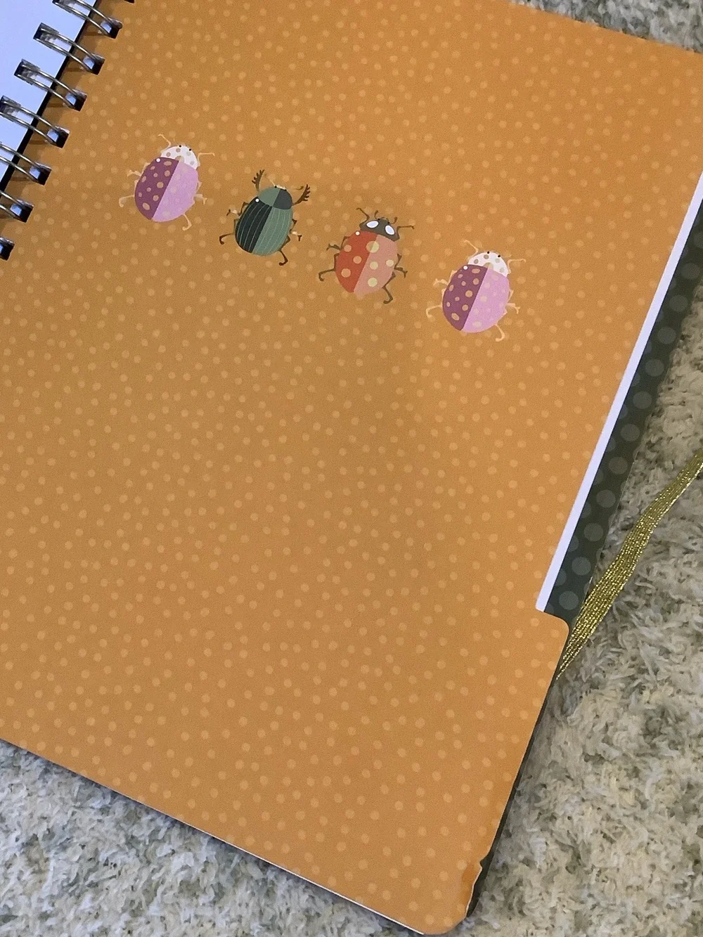 Stay Focused Spiral 3 Subject Notebook with Colorful Bug Design NWT 160pgs 8x10”